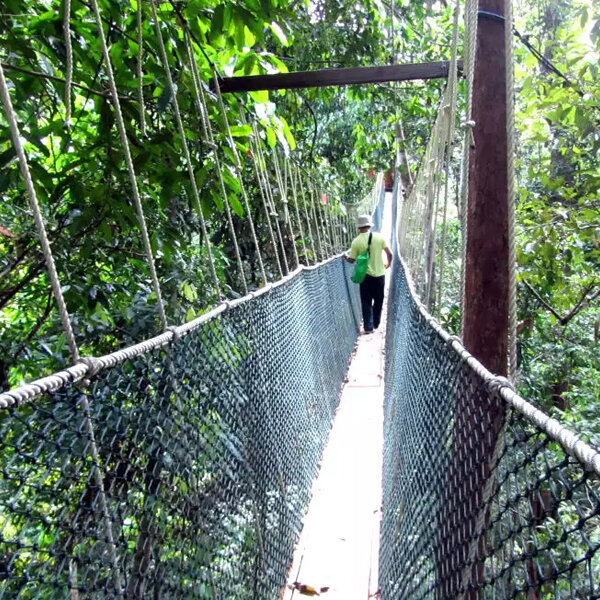 Kuala Lumpur and Taman Negara.jpg